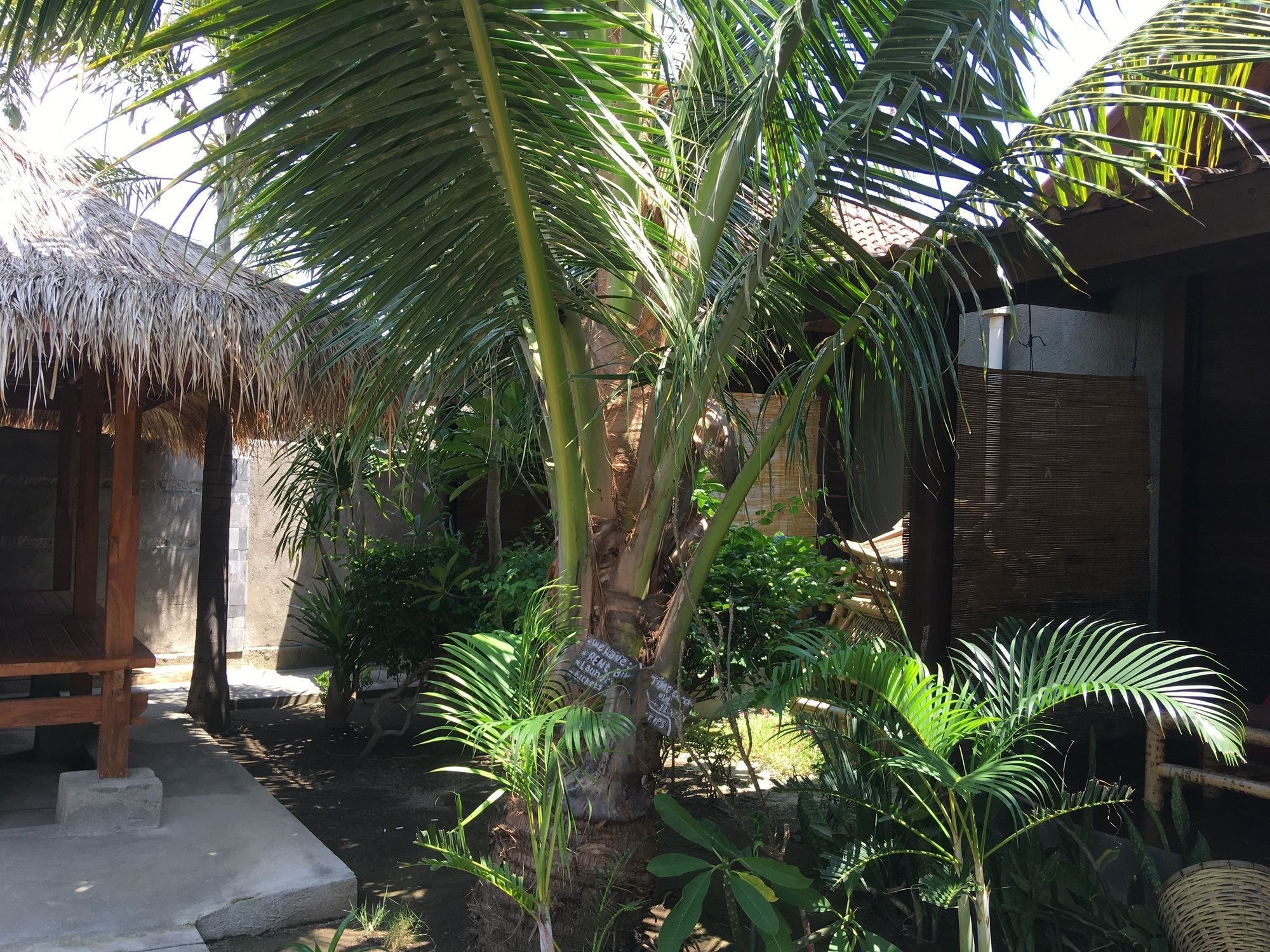 Alexyane Paradise Bungalow Gili Trawangan Exterior foto
